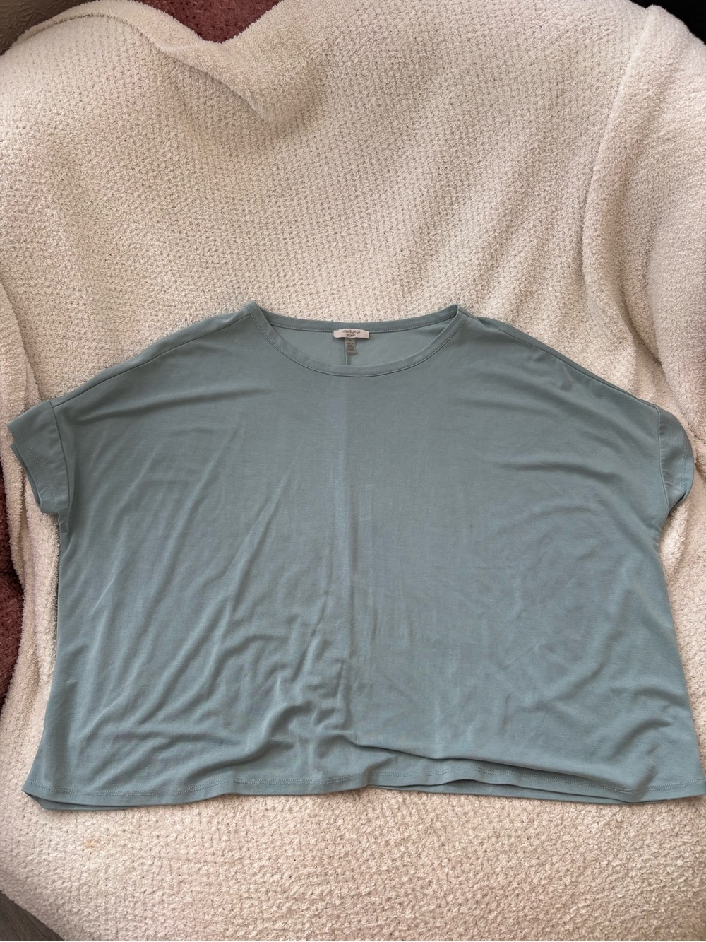 Cable & Gauge Oversized Short-Sleeve Tee in Sage
